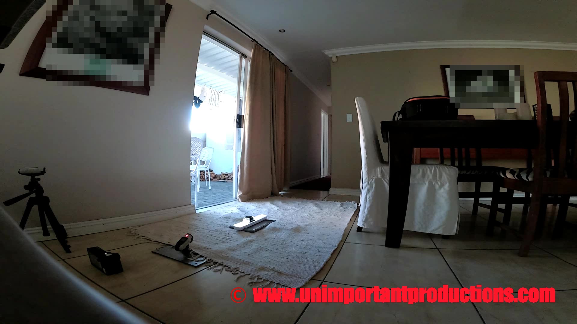 Canines fucking ebony women