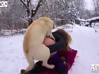 Dog woman sex