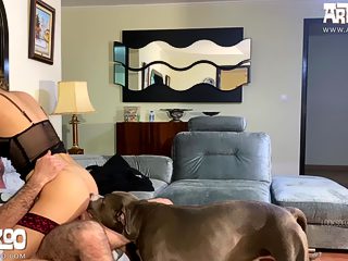 Couple dog sex