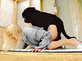 Animal and woman sex video