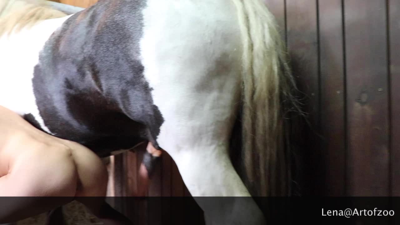 1280px x 720px - Horses Sexvidio | Sex Pictures Pass