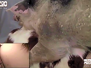 Boar cum woman
