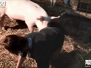 Farm animal porn HD. Woman fucked by pig and horse