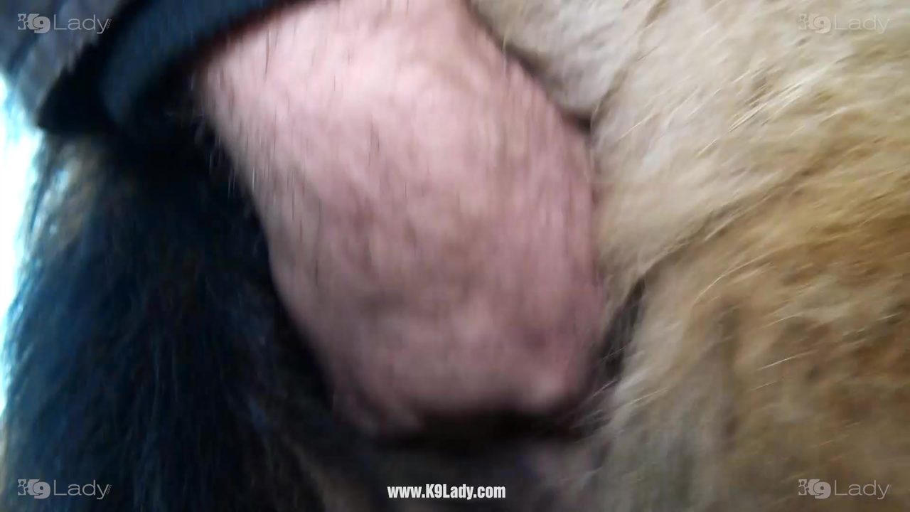 Outdoor zoo sex with woman