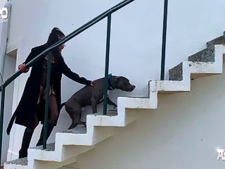 Dog knotting porn