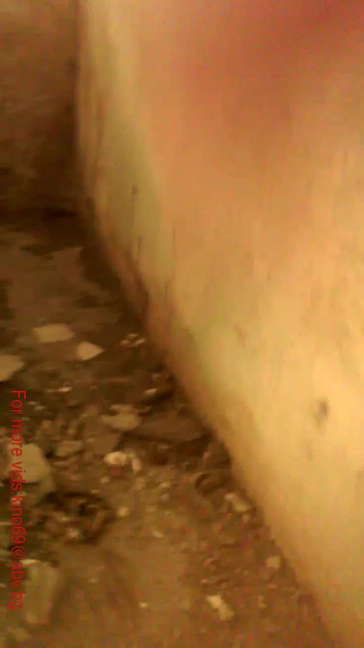Woman banged by canine in abonded building