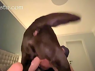 Dog creampie closeup