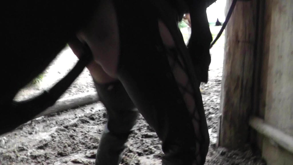 Compilation amateur horse porn at farm