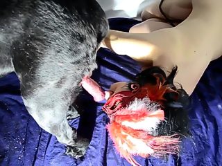 Girl with dog porn