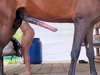 Girl fuck with horse