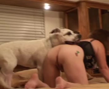 Home - Home zoo porn