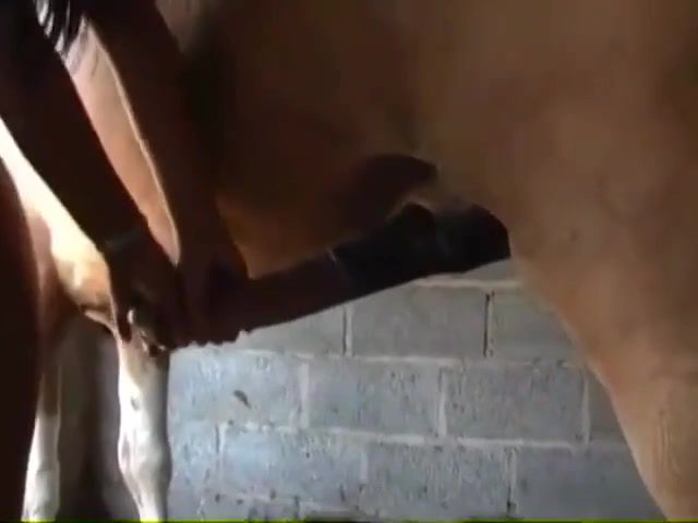 Zoo farm sex in Brazil