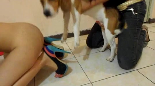 Mexican lesbians have threesome sex with dog