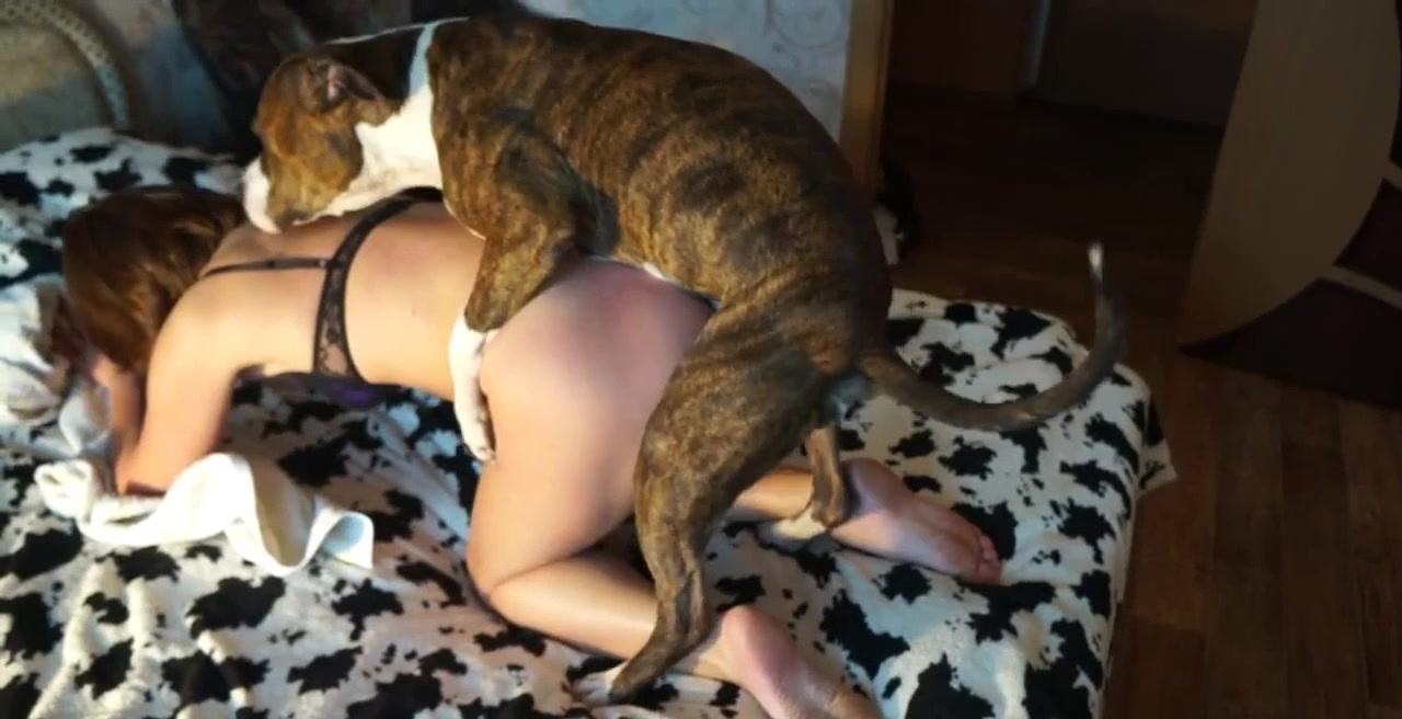 Women fucken dogs