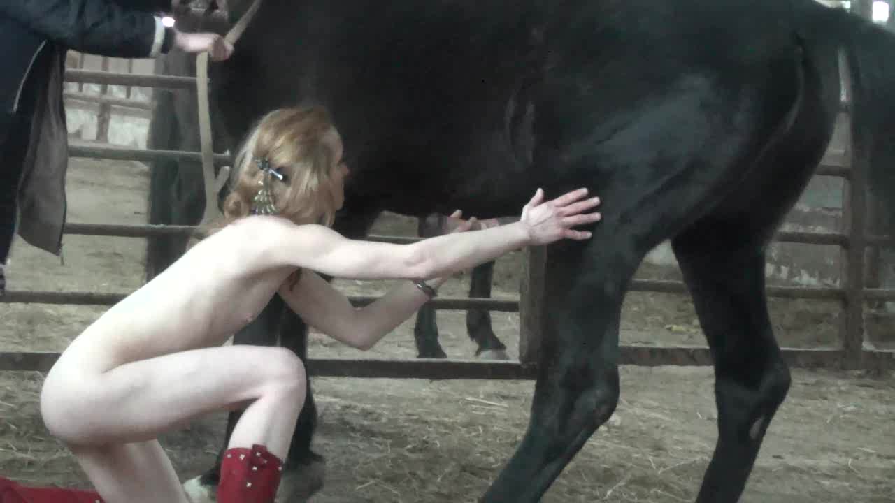 animalsexfun Zoo sex xxx
