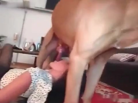Zoo blowjob compilation