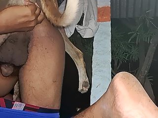 Boy sex with animal