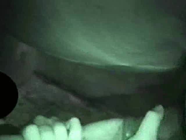 Zoo sex filmed through a night vision camera