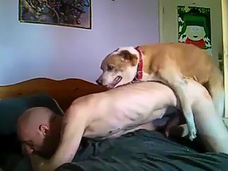 Dog fucks man porn