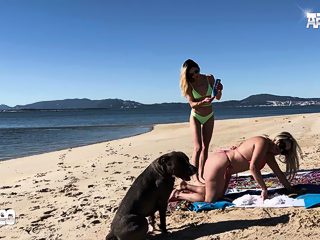 xxx dog public