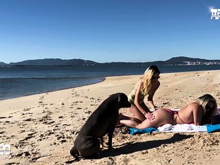 xxx dog public