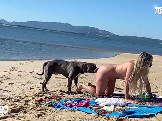 xxx dog public