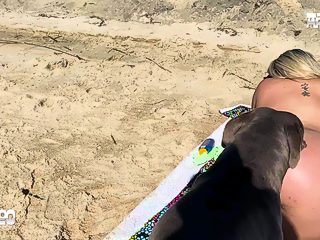 xxx dog public