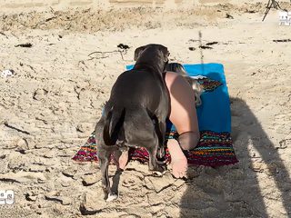 xxx dog public